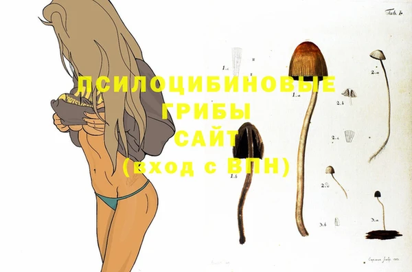 альфа пвп Слюдянка