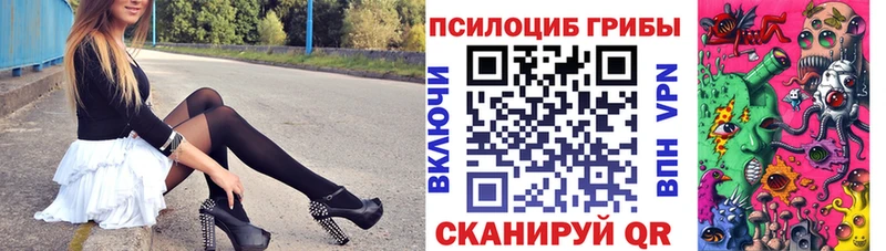 Купить закладки  Петухово  Псилоцибиновые грибы прущие грибы 